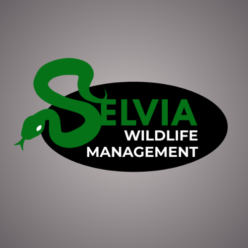 Selvia Wildlife Management